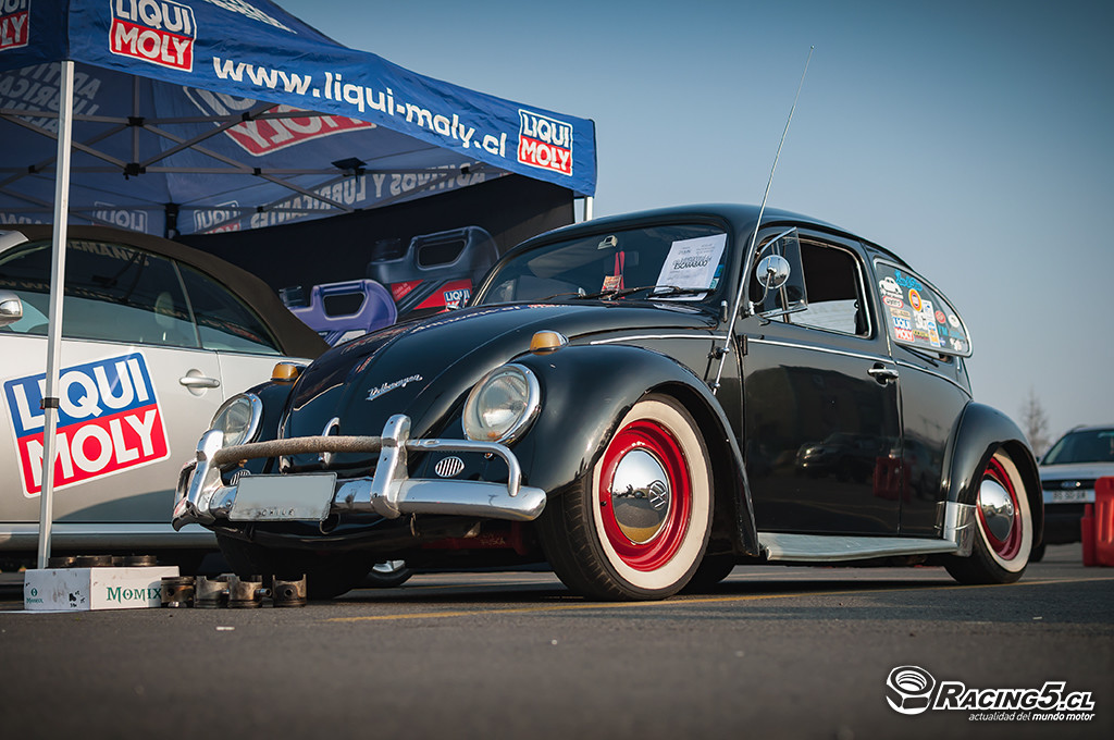[Galería de Imágenes] Beetle Friends celebró el Día del Escarabajo